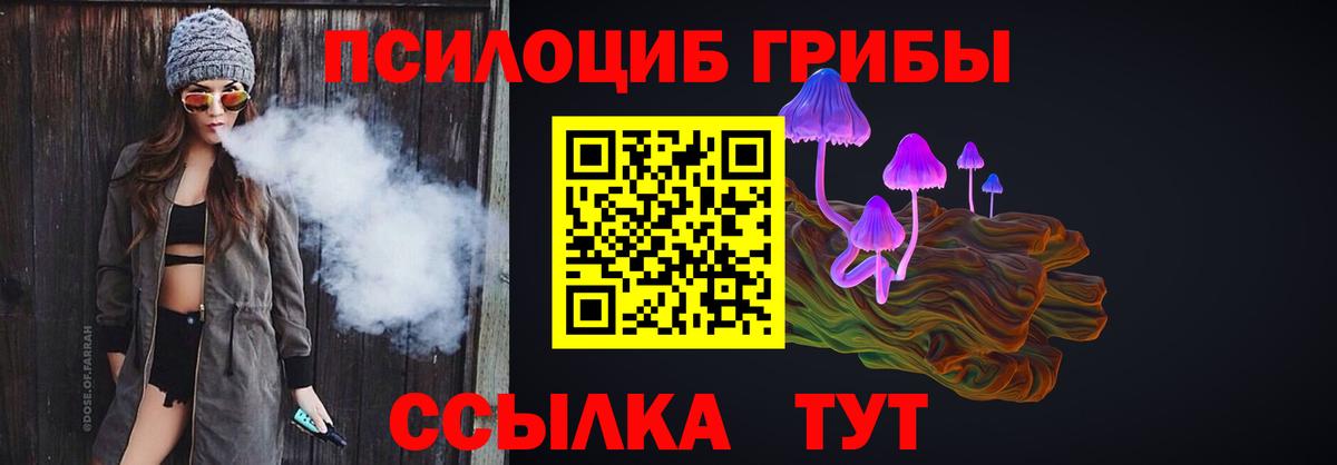 Светлоград  Псилоцибиновые грибы Psilocybe  Вход с VPN 